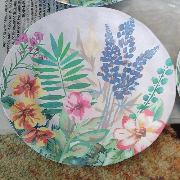 Fig & Fern Floral Melamine Dinner Plates, set of 4 - Picture 2 of 6